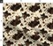 Faux Cowhide Cowboy Rodeo Western Ranch Custom Printed Fabric by Spoonflower Various Fabrics by the Yard or Fat Quarter